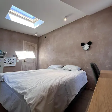 House In Kalamaja With Wood Heating Sauna Tallin