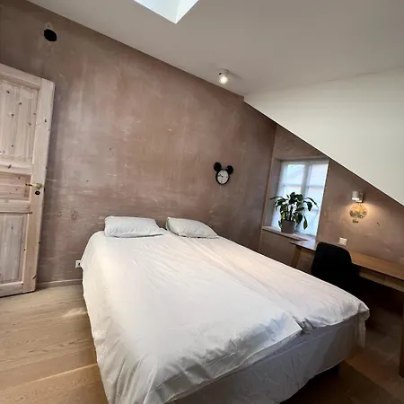 House In Kalamaja With Wood Heating Sauna Apartament